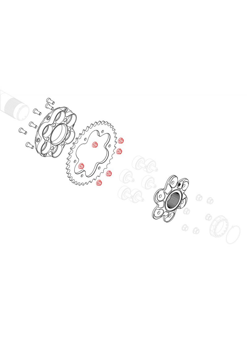 Titanium Quick-Change Achtertandwiel moerenset Set M8x1.25 - CNC Racing Ducati Diavel V4 RS (2025+)