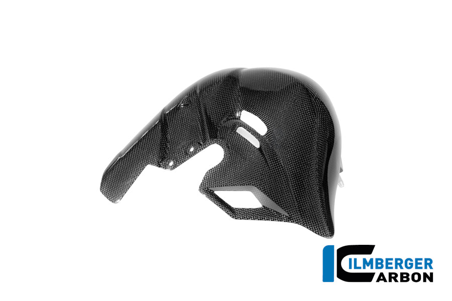 Uitlaathitteschild glanzend carbon Ducati Panigale V4 S 2025+