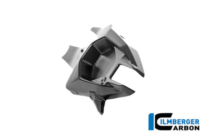 Achterbrugbeschermer (links) mat carbon Ducati Panigale V4R (2026+)