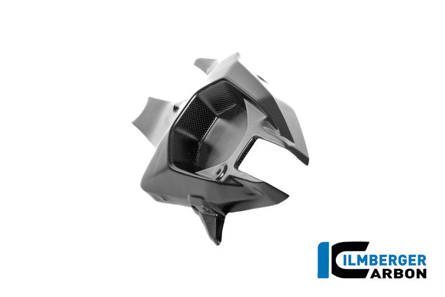 Achterbrugbeschermer (links) mat carbon Ducati Panigale V4 2025+