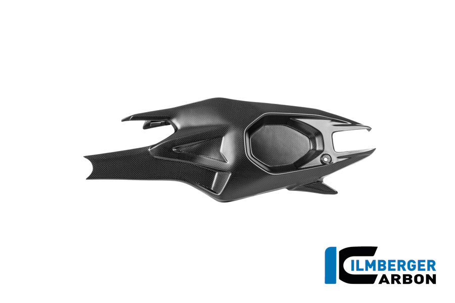 Achterbrugbeschermer (links) mat carbon Ducati Panigale V4 2025+
