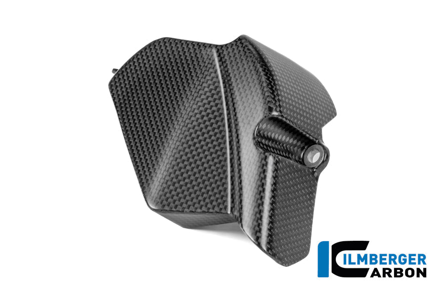 Tandwielbeschermer mat carbon Ducati Panigale V4R ((2026+))
