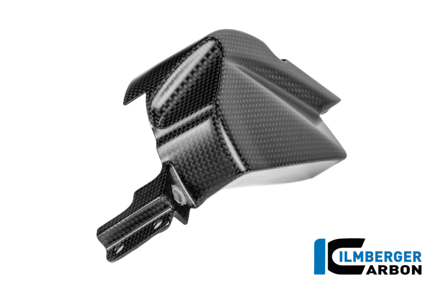 Tandwielbeschermer mat carbon Ducati Panigale V4R ((2026+))