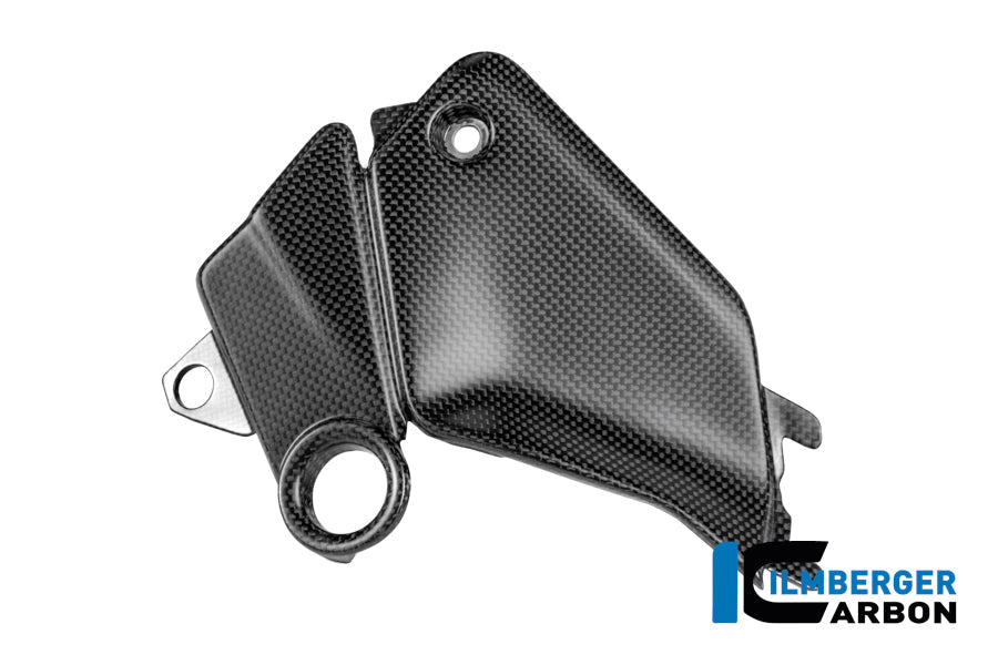 Cover aan de zijkant van de tank links mat carbon Ducati Panigale V4 Tricolore (2025+)