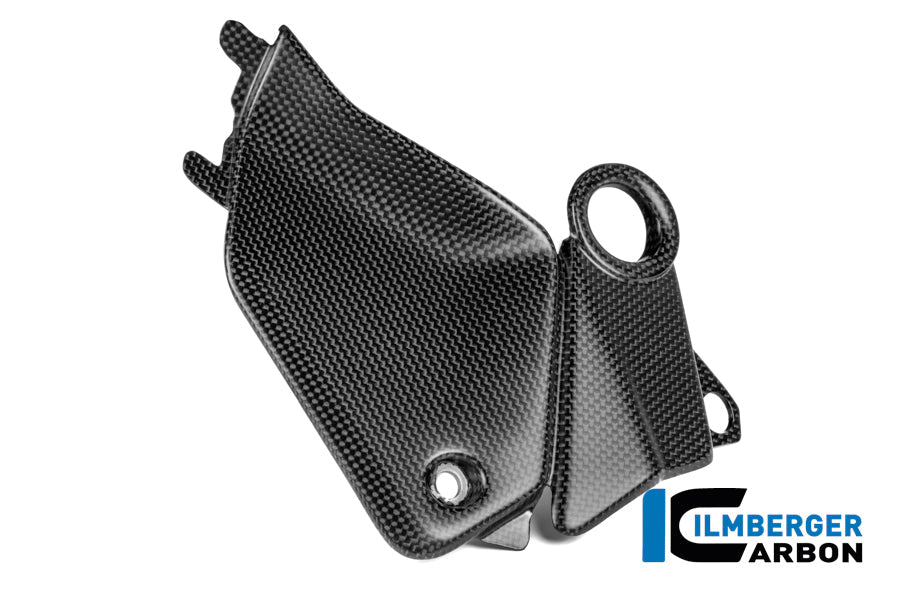 Cover aan de zijkant van de tank links mat carbon Ducati Panigale V4R ((2026+))
