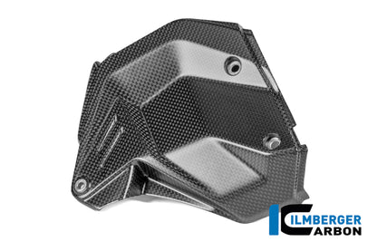 Cilinderkopdeksel links mat carbon Ducati Panigale V4R (2026+)