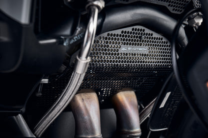 Evotech Cylinder Head Guard Set - Ducati Multistrada V4 RS (2026+)