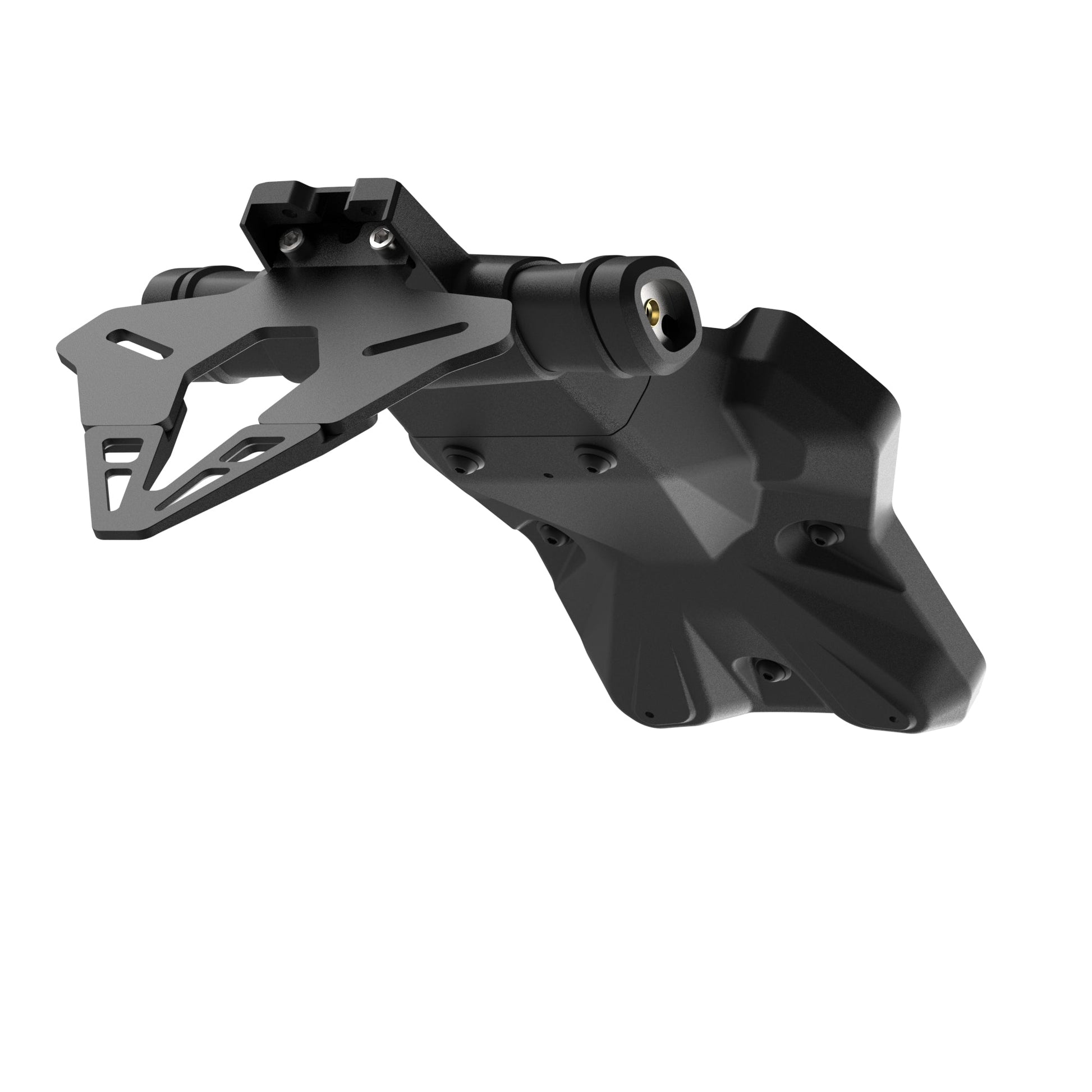 Kentekenplaathouder Evotech - Ducati Multistrada V4 RS (2024)