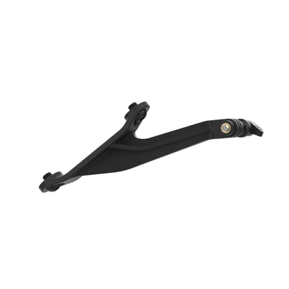 Evotech Footpeg Action Camera Montagesteun (achteruit gericht) - BMW S 1000 RR Motorsport (2019-2022) (Right-hand Side)