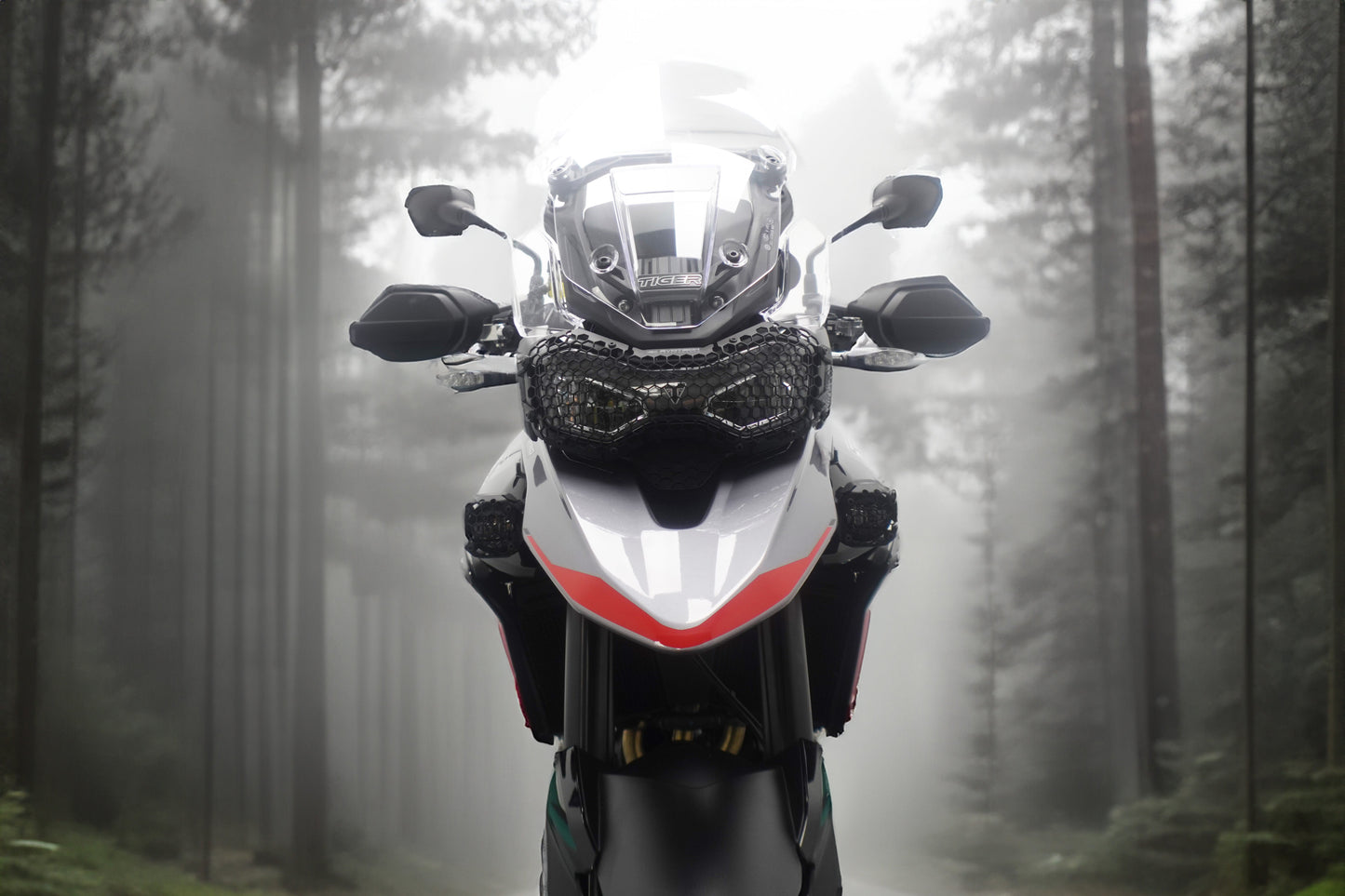 Evotech Mistlicht Montageset - Triumph Tiger 900 GT Pro (2024+)