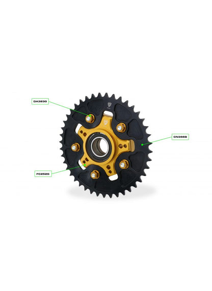 Achtertandwieldrager - Ducati Monster V2 (2026+)