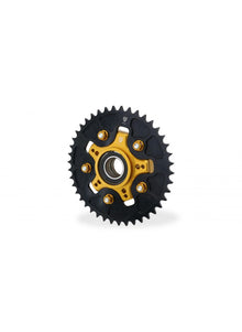 Achtertandwieldrager - Ducati Monster V2 + (Plus) (2026+)