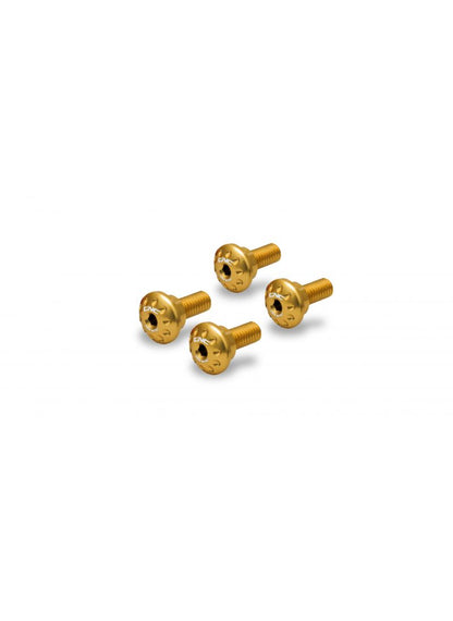 Upper and Lower Chain Guard Bolt Kit (4 pcs.) Ducati DesertX 2022+