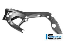 Frame beschermer (links) mat carbon - BMW M 1000 RR Street (2025+)