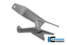 Achterbrug beschermer links mat carbon BMW M 1000 R (2023-2024)