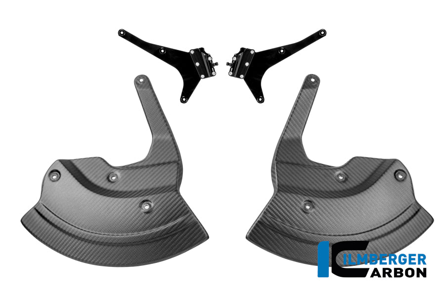 Remschijfbeschermer set mat carbon BMW M 1000 RR (2021-2022)