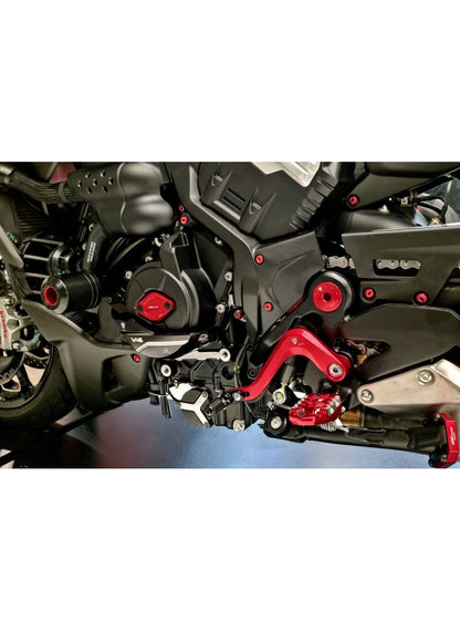 Dynamodeksel beschermer - Pramac Racing Limited Edition - Ducati Diavel V4 RS (2025+)