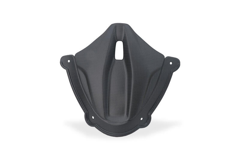 Mat carbon paneel onder het windscherm Ducati Panigale V4 Tricolore Italia (2025+)