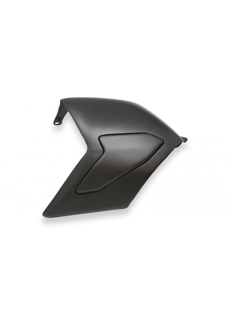 Matt carbon swingarm cover Panigale V4 V4S