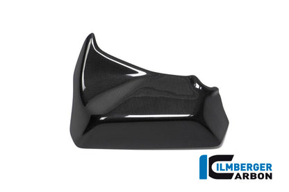 Zijkuip paneel Binnenste panel links glanzend carbon Ducati Multistrada Enduro 1200 (2016-2018)
