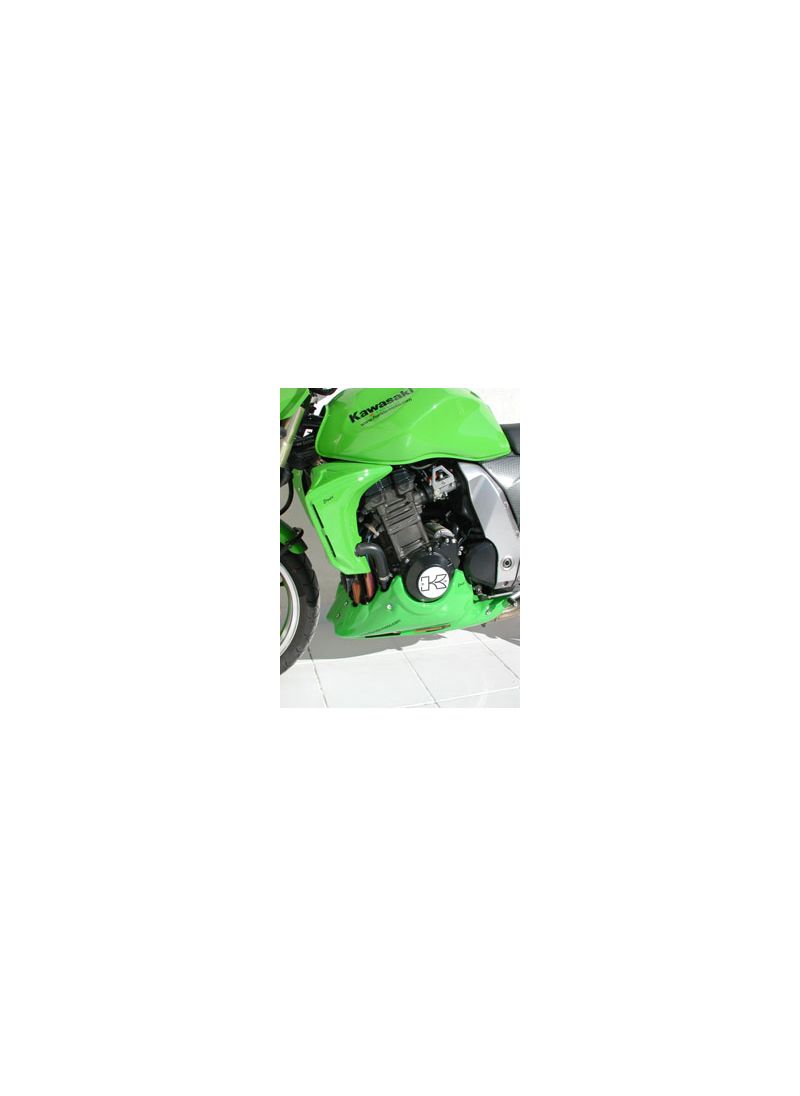 Ermax radiator side panels Kawasaki Z1000 2003-2006 (sold per pair)