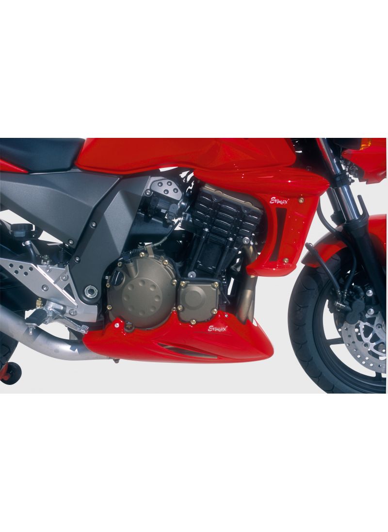 Ermax radiator side panels Kawasaki Z750 2004-2006