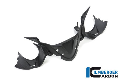 Conseil d'instruments Matt Carbon Ducati Panigale 959 1299 (tous) Ducati Panigale 959 Corse (2018-2019)