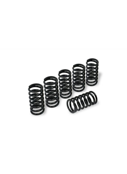 Clutch Spring Kit H38 Ducati SuperSport 900ie (1998-2002)