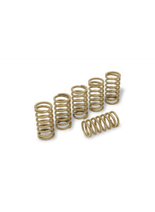 Verenset 38mm (6 st.) voor droge koppeling Ducati 998S (2002-2003)