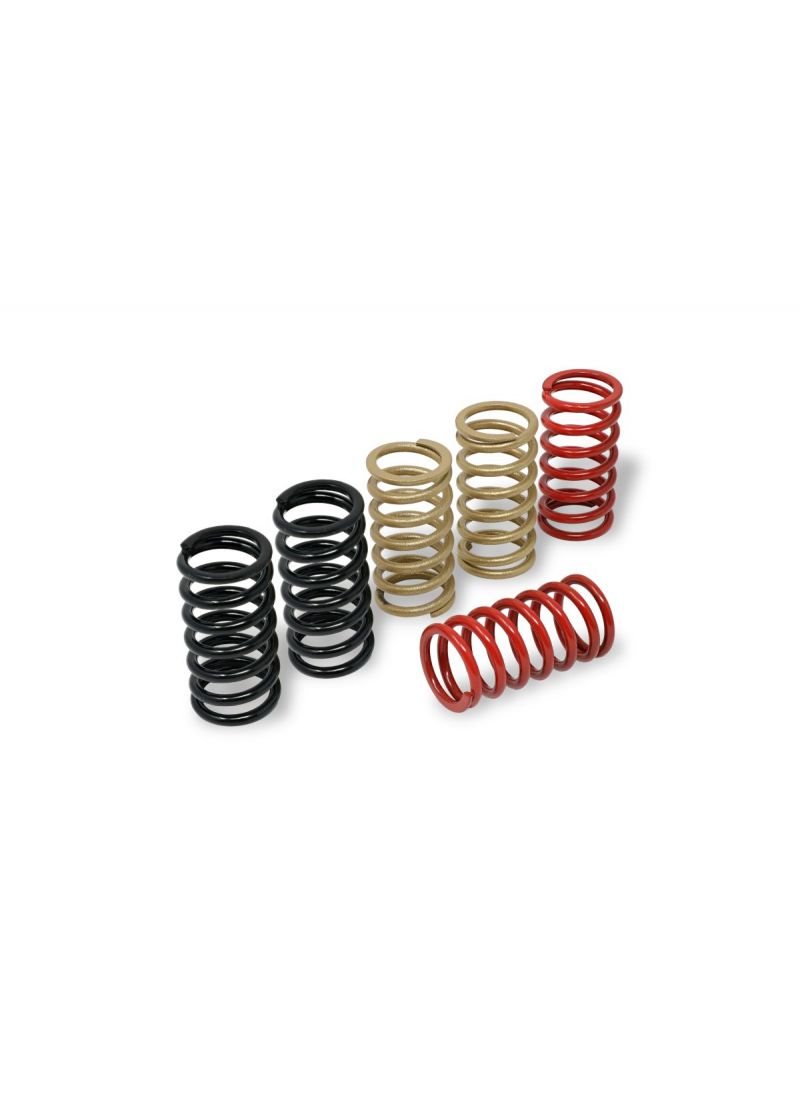 Verenset koppeling (6 st.) droge koppeling Ducati Hypermotard 1100 EVO (2010-2012)