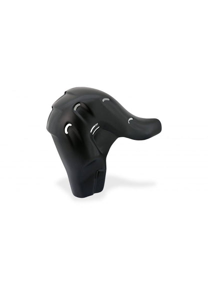 Euro5 Exhaust Heat Guard Carbon Ducati Streetfighter V4 Ducati Streetfighter V4 SP (2022+)