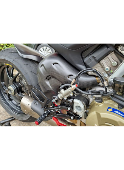 Euro5 Exhaust Heat Guard Carbon Ducati Streetfighter V4