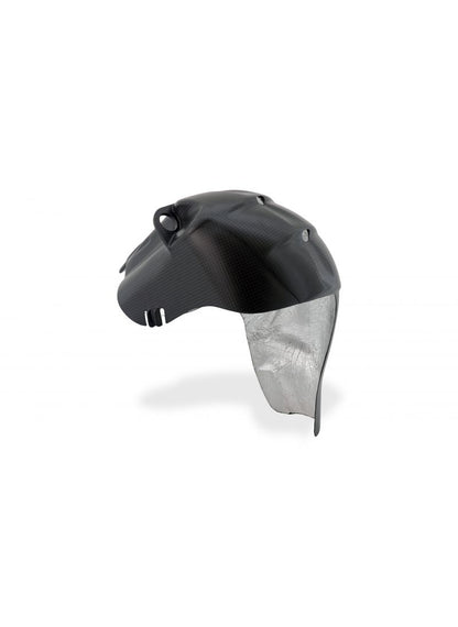 Euro5 Exhaust Heat Guard Carbon Ducati Streetfighter V4