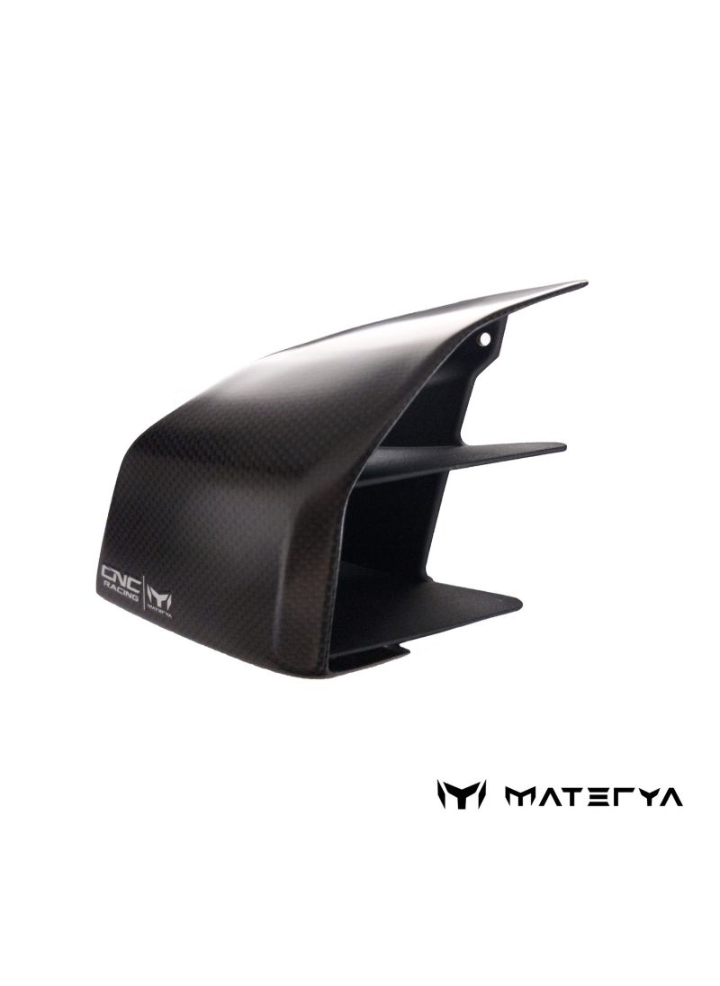 Improved Winglets Carbon Streetfighter V4